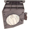 D95-LMP (23311153)