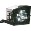 TB25-LMP (23311083A)
